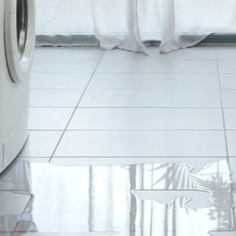 Appliance Leak Cleanup in Gilford, NH