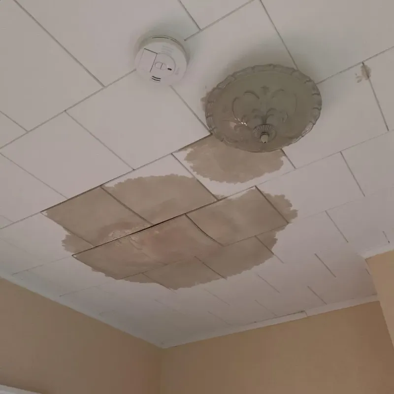 Ceiling Water Damage Repair in Gilford, NH