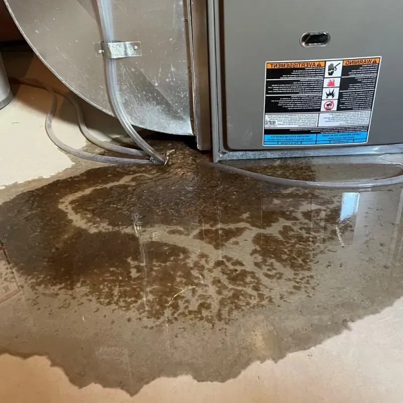 Pipe Burst and Leak Restoration in Gilford, NH